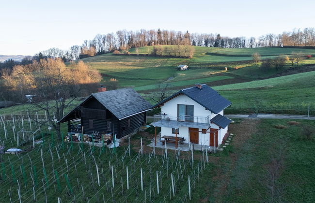 Vineyard cottage Majolka - Foto 16