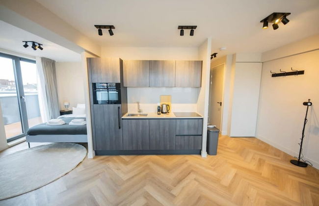 Wonderful Studio Penthouses - Photo 5