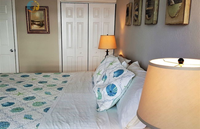 Alexander 510 2 Bedroom Apts by RedAwning - Photo 5
