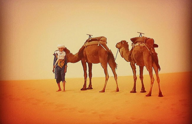 Merzouga Exotic Luxury Camp Is The Best Location - Foto 5