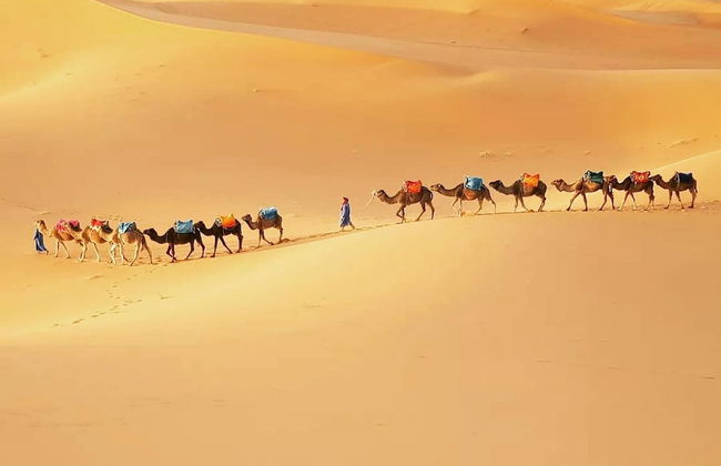 Merzouga Exotic Luxury Camp Is The Best Location - Foto 6
