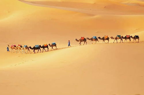 Photo 7 - Merzouga Exotic Luxury Camp Is The Best Location