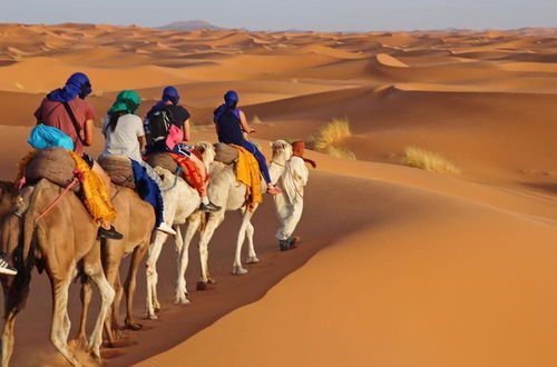 Photo 8 - Merzouga Exotic Luxury Camp Is The Best Location