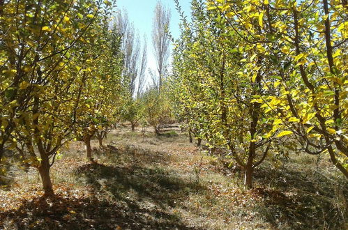 Photo 13 - Gîte Ferme Dar Raho