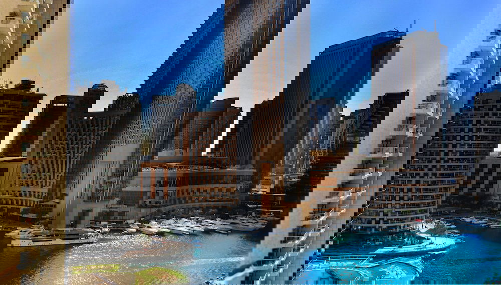 Image principale