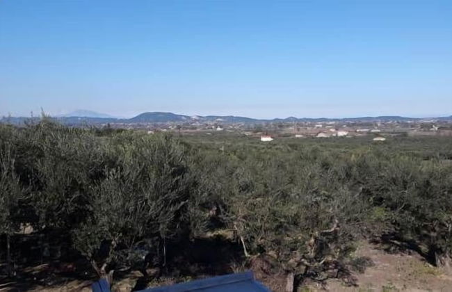 Villa Antonio - Photo 34