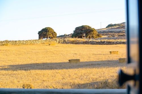 Photo 53 - Antiparos Homes