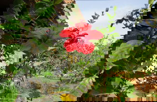 Photo 60 - Villa Medusa