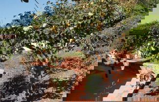 Photo 61 - Villa Medusa