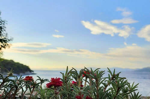 Photo 23 - Beachfront Apartment With big Terrace and Garden