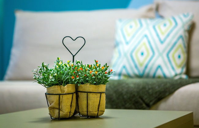 Emerald Suite - Photo 11