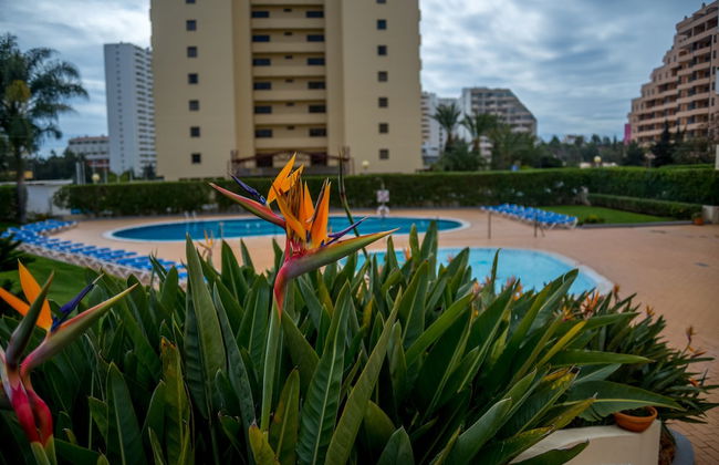 Flor da Rocha - Foto 30