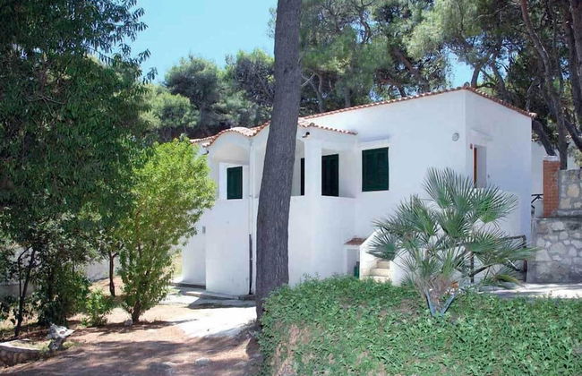 Residence M3 - Photo 6
