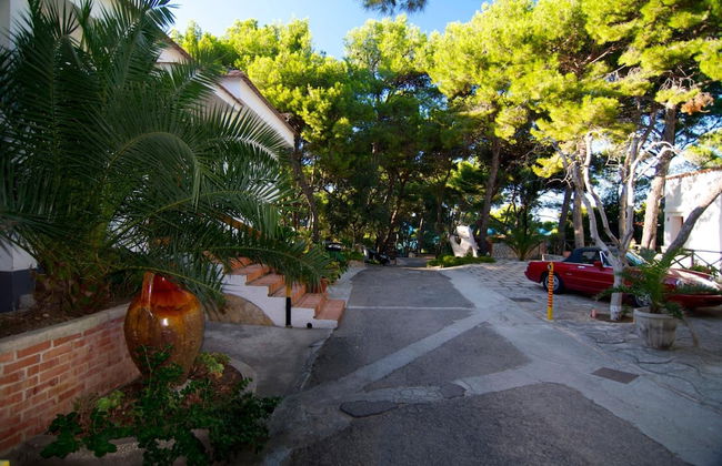 Residence M3 - Photo 40