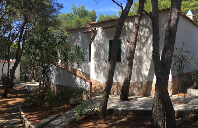 Residence M3 - Photo 41