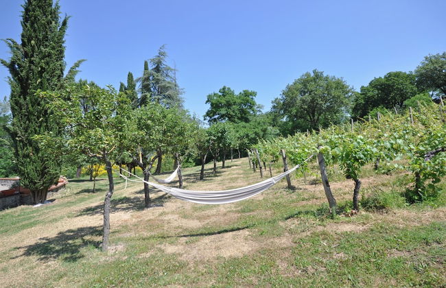 Villa Lo Scoiattolo - Foto 34