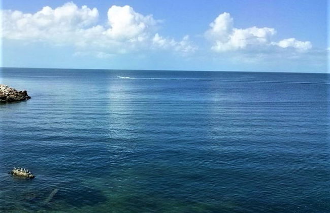 Kaeli's Caribbean Studios - Foto 64