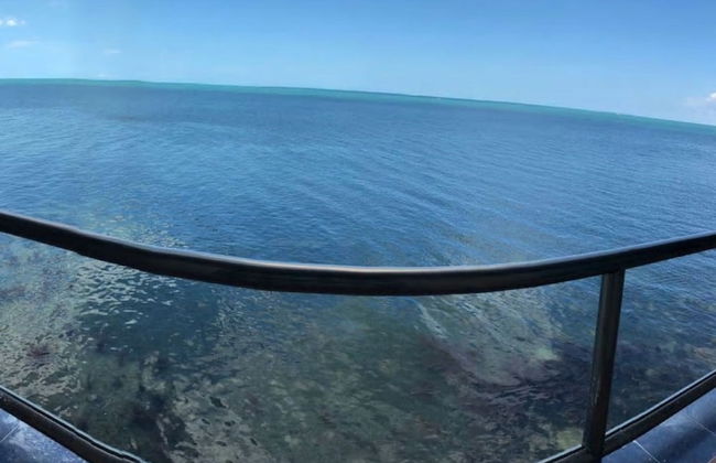 Kaeli's Caribbean Studios - Foto 68