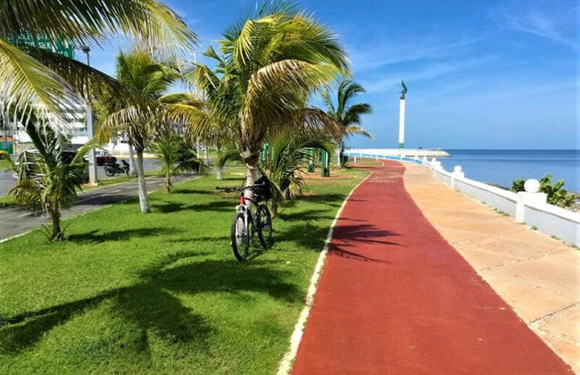 Kaeli's Caribbean Studios - Foto 63