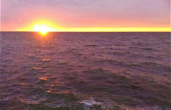 Kaeli's Caribbean Studios - Foto 65