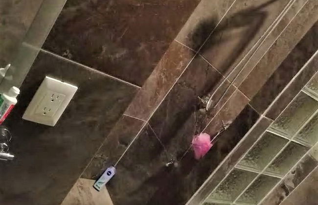 Kaeli's Caribbean Studios - Foto 50