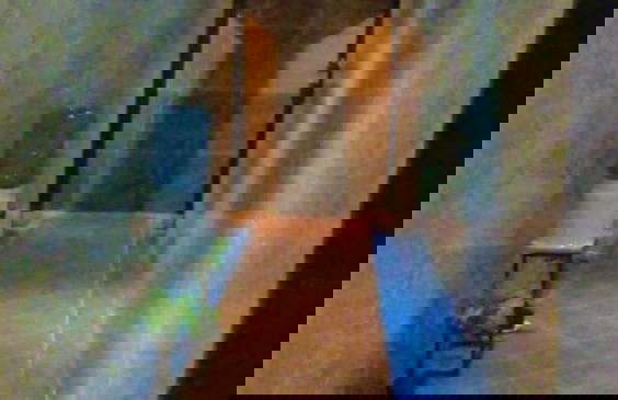 Kaeli's Caribbean Studios - Foto 61