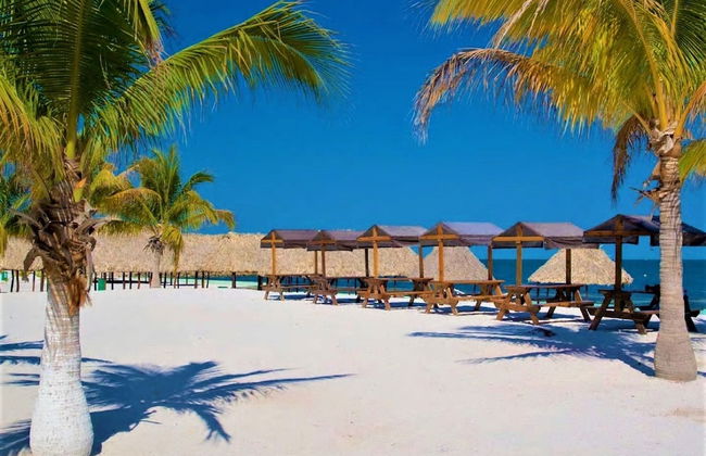 Kaeli's Caribbean Studios - Foto 62