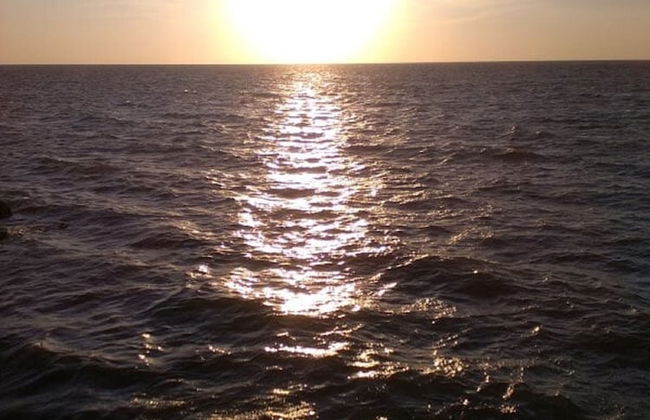 Kaeli's Caribbean Studios - Foto 67