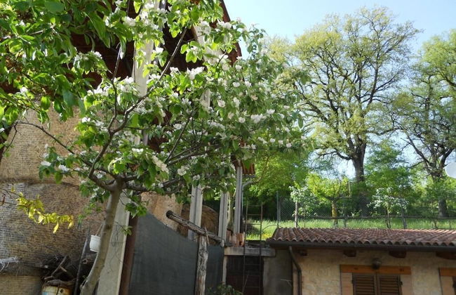 Agriturismo Monti Sibillini Camperato - Foto 25