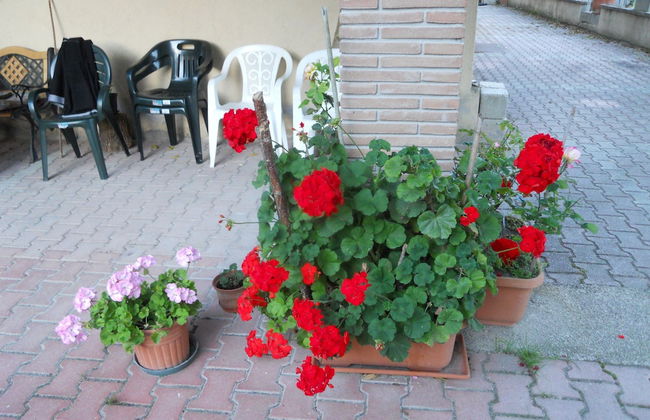 Agriturismo Monti Sibillini Camperato - Foto 18