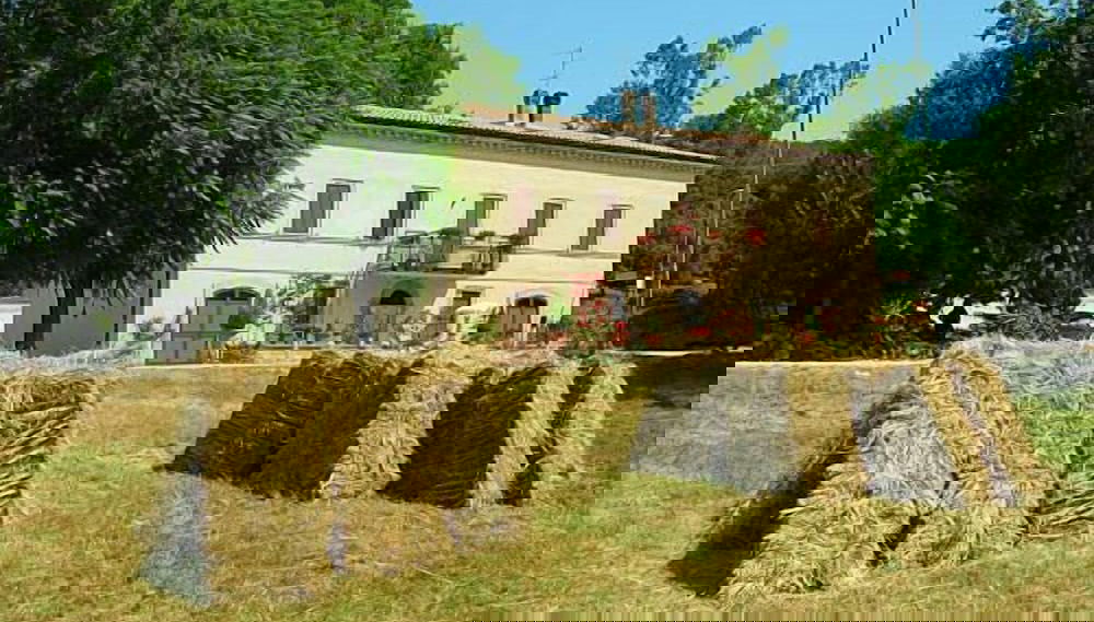 Imagem principal