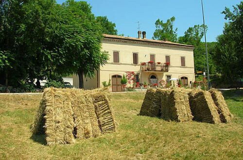 Foto 1 - Agriturismo Monti Sibillini Camperato