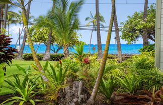 Photo 1 - Oceanfront Remodeled Studio Condo