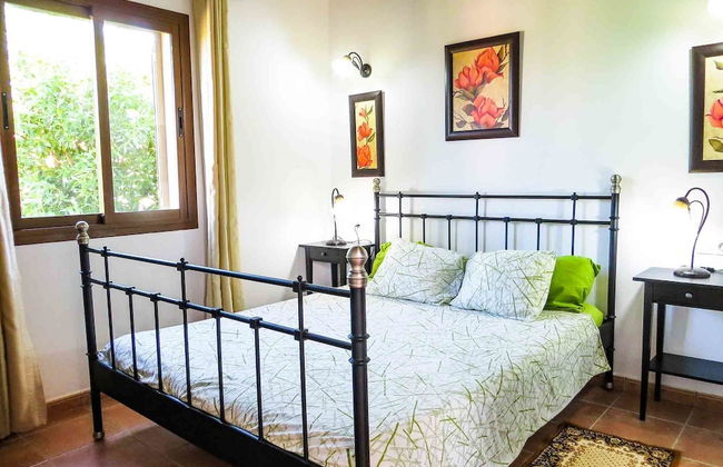 Finca Damian - Photo 3