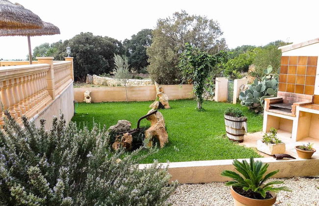 Finca Damian - Photo 13