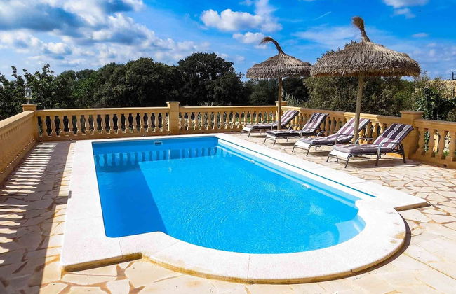 Finca Damian - Photo 16