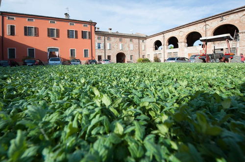 Photo 30 - Agriturismo Arte Contadina