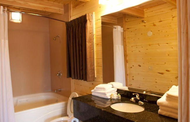 Cabins of Mackinaw - Photo 34