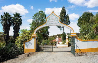 Photo 2 - Country Mansion in Montemor-o-novo Alentejo With Shared Pool