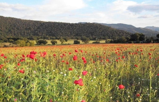 Scenic Stay in Spoleto - Foto 34