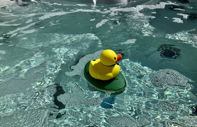 Modern Grove Duplex Unit B - Foto 24