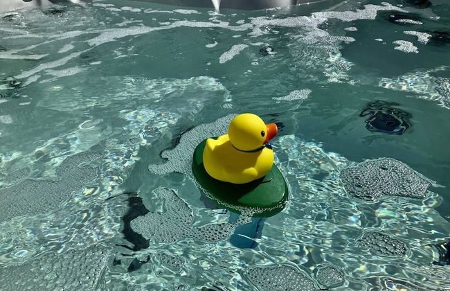 Modern Grove Beautiful 3 Bedroom Home - Foto 37