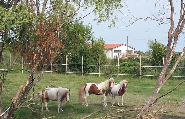 Agriturismo Quadrifoglio Relax - Foto 36
