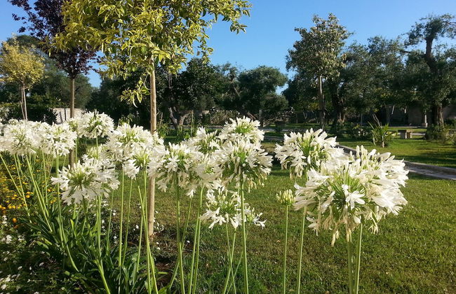 Willaria country house - Foto 54