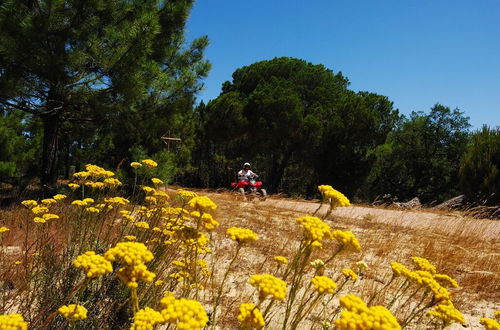 Photo 54 - Herdade do Freixial