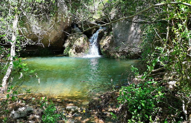 Mas de l'Arlequi Casa rural - Foto 30