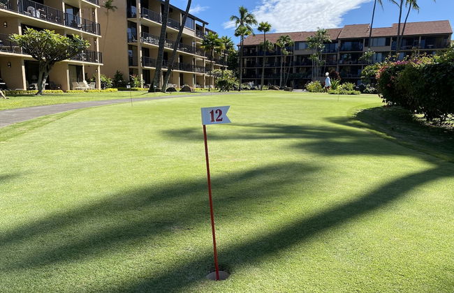 AEI at Papakea Resort Maui - Foto 27