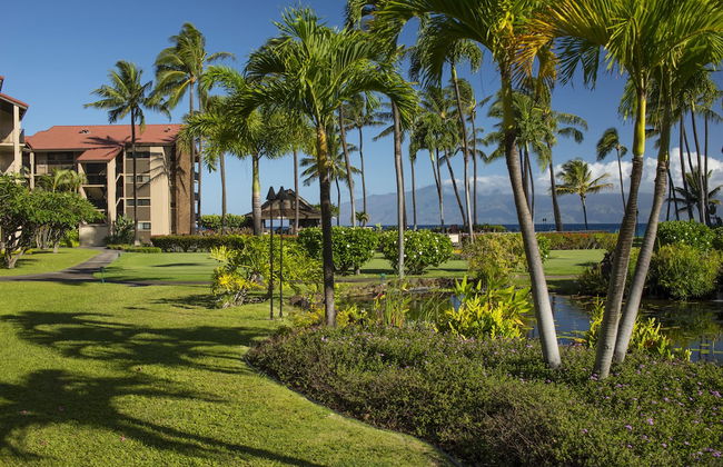 AEI at Papakea Resort Maui - Foto 22