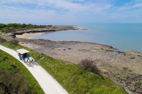 Photo 26 - VVF Île de Ré Sainte-Marie-de-Ré