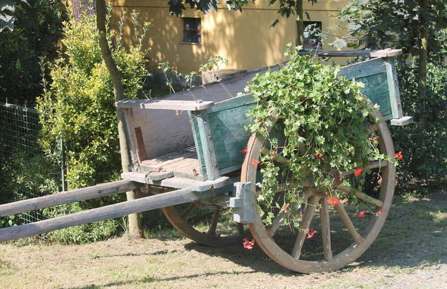 Agriturismo LA.TI.MI.DA. - Foto 23